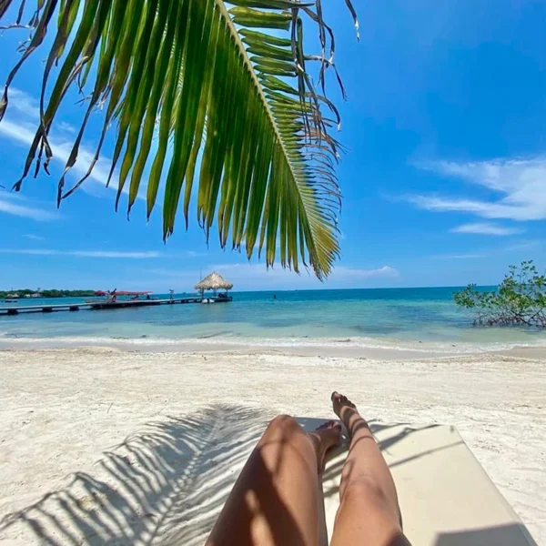 COCOTERA  BAR EXPERIENCE