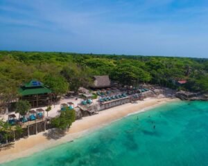 SOL Y PAPAYA CLASSIC