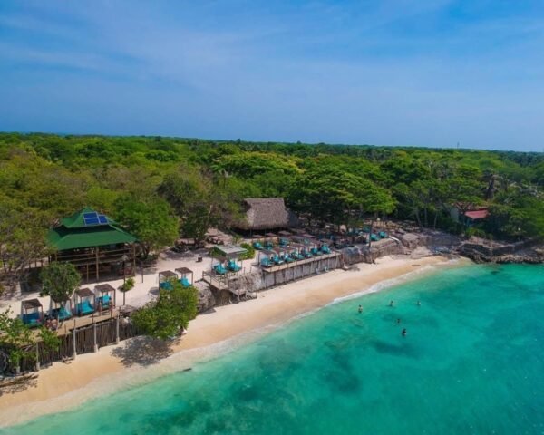 SOL Y PAPAYA CLASSIC