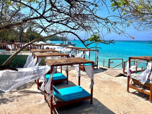 SOL Y PAPAYA CLASSIC