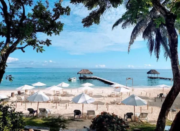 LUXURY BEACH OPEN BAR