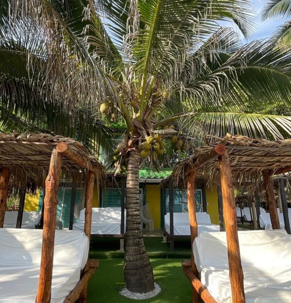 LUXURY BEACH OPEN BAR