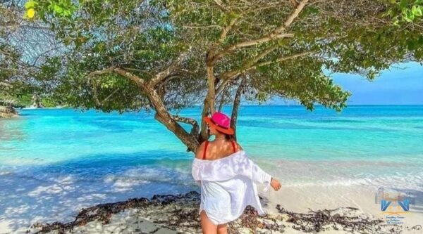 SOL Y PAPAYA CLASSIC