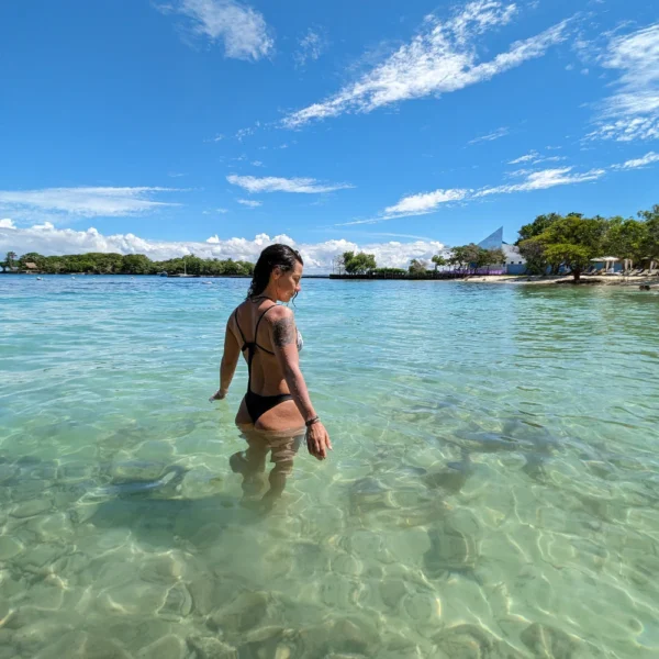 ROSARIO DE MAR - PLAN ARRECIFE