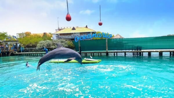 ISLAS DEL ROSARIO + PLAYA TRANQUILA